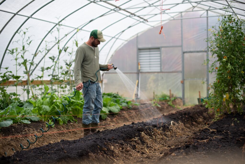 Mucho produce el campo, pero mucho come el año”